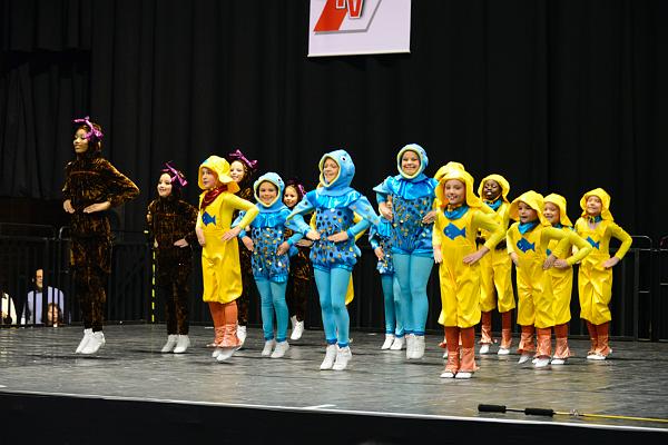 20151121Tanztunier der Karnevalisten __40.jpg - Sa. 21.11.2015,Hannover (Foto:Herbert Frost)